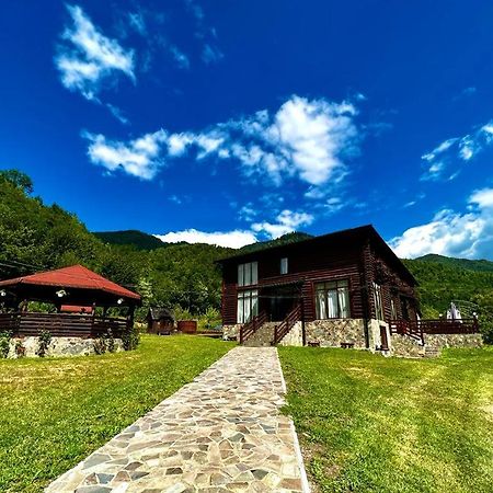 Pensiunea Roxana Valea Viseului Exterior foto