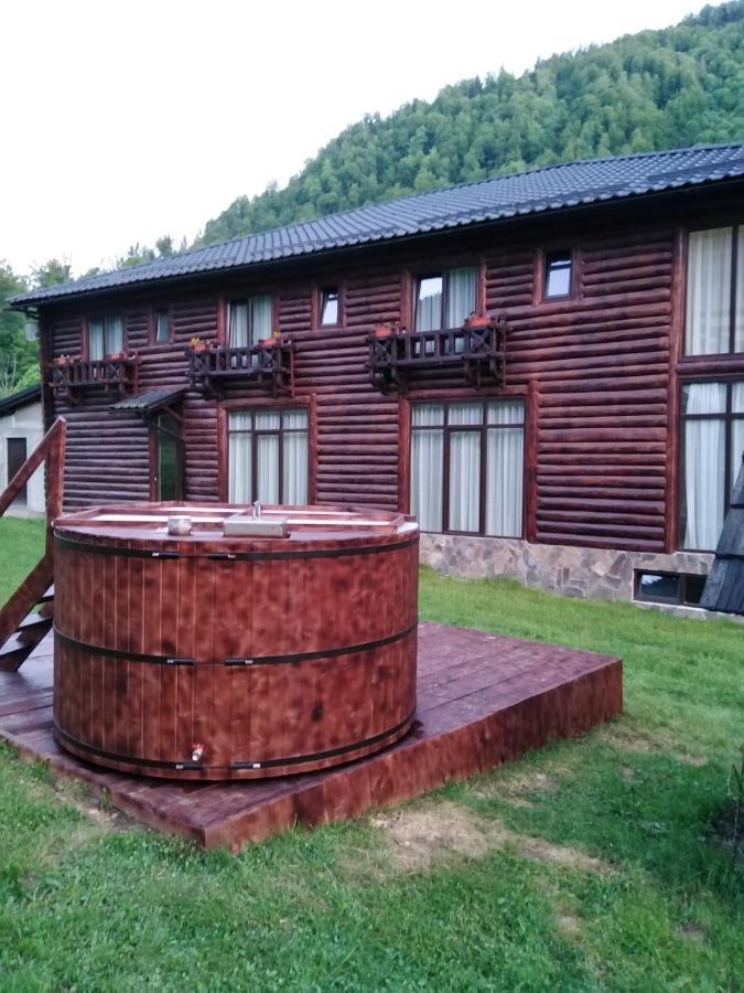 Pensiunea Roxana Valea Viseului Exterior foto
