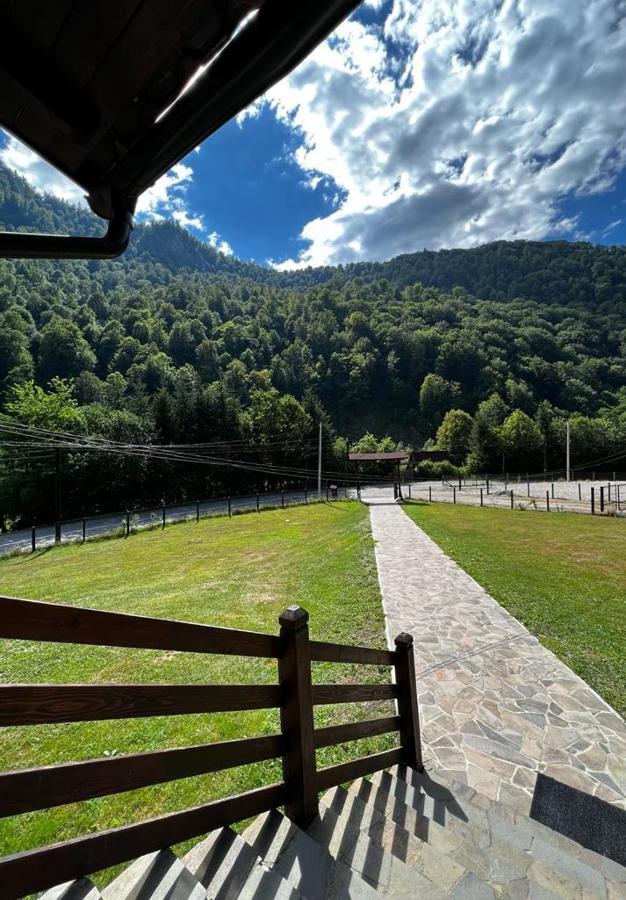 Pensiunea Roxana Valea Viseului Exterior foto