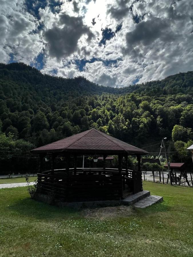 Pensiunea Roxana Valea Viseului Exterior foto