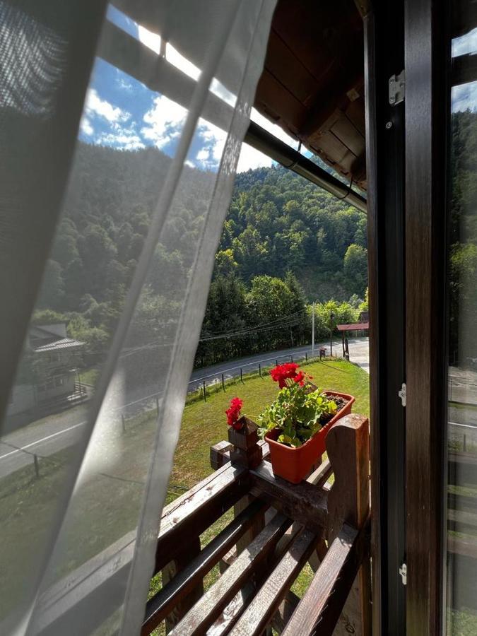 Pensiunea Roxana Valea Viseului Exterior foto
