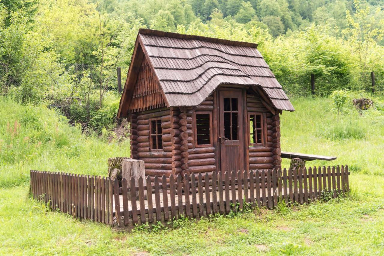 Pensiunea Roxana Valea Viseului Exterior foto
